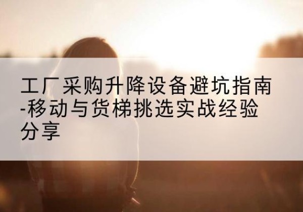 桐柏移动式升降机怎么选-工厂采购升降设备避坑指南-移动与货梯挑选实战经验分享