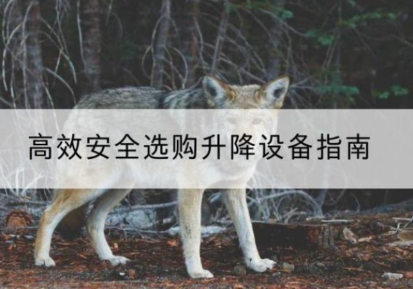 桐柏升降货梯厂家推荐-*安全选购升降设备指南