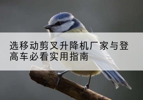 桐柏电动升降机厂家-选移动剪叉升降机厂家与登高车必看实用指南