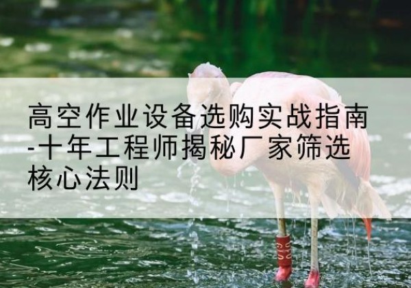 桐柏剪叉式升降机厂家-高空作业设备选购实战指南-十年工程师揭秘厂家筛选核心法则